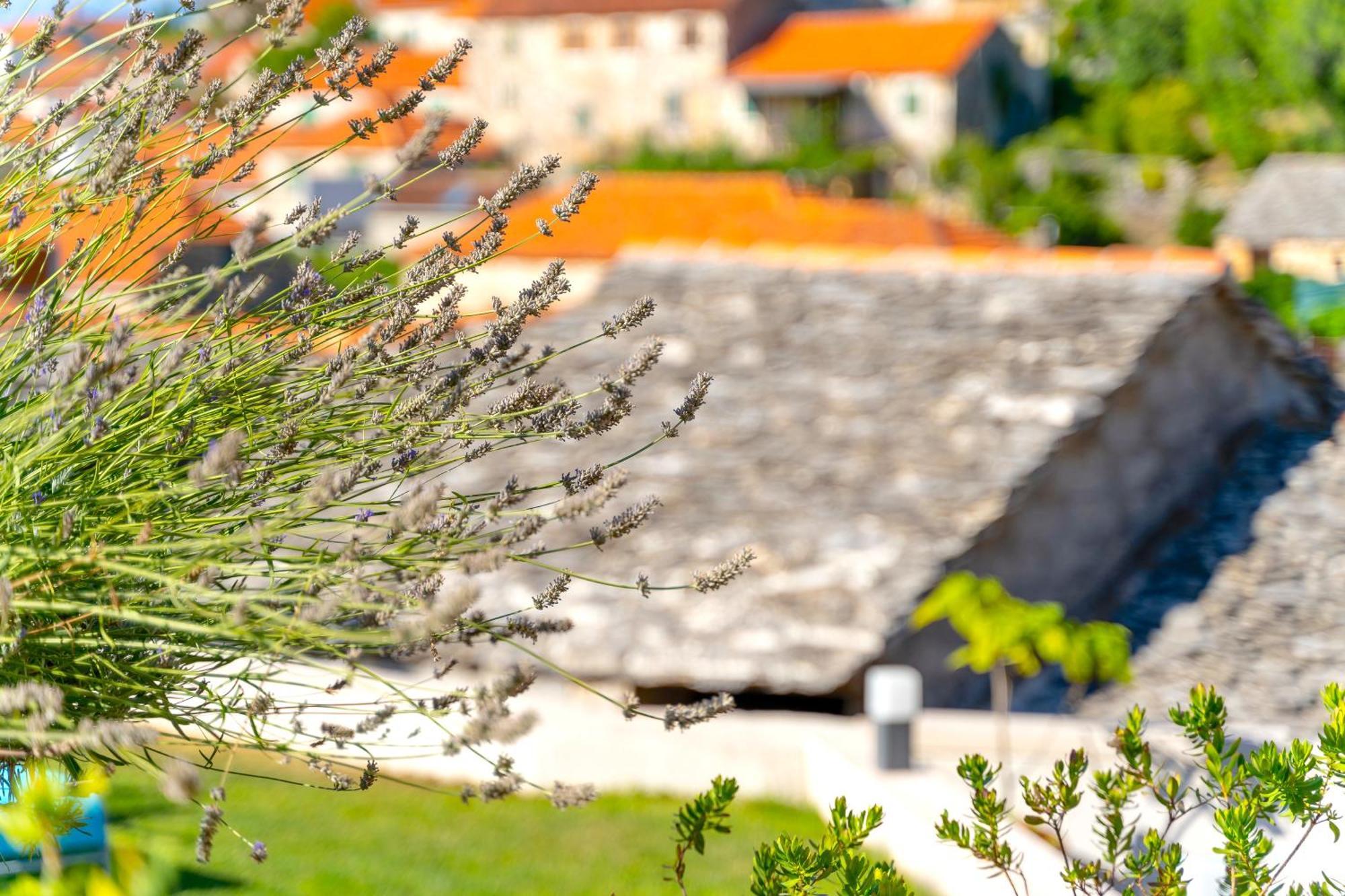 Villa Green Garden Splitska Exterior foto